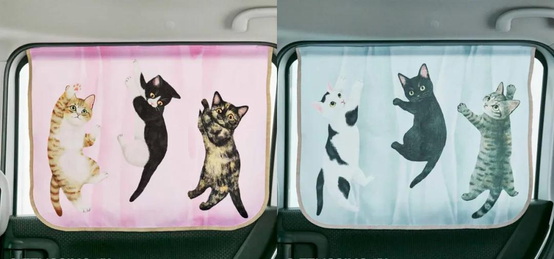 日本人又来骗猫奴们的钱啦！但我心甘情愿掏钱了！