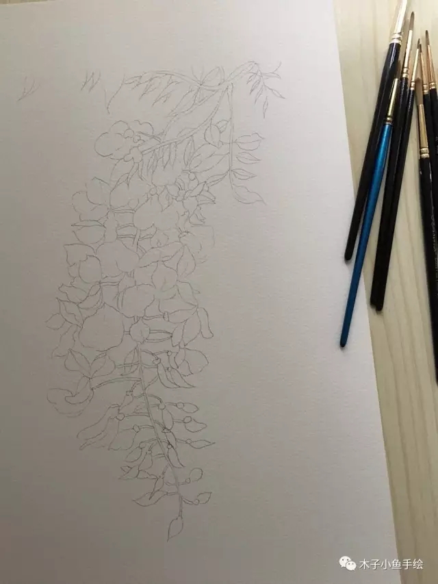 紫藤花水墨教程,紫藤花水粉画法步骤图