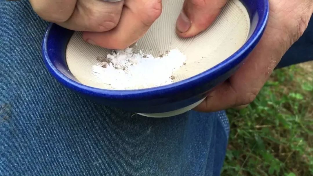 阿司匹林浇花适应哪种花卉,阿司匹林浇花方法与注意事项