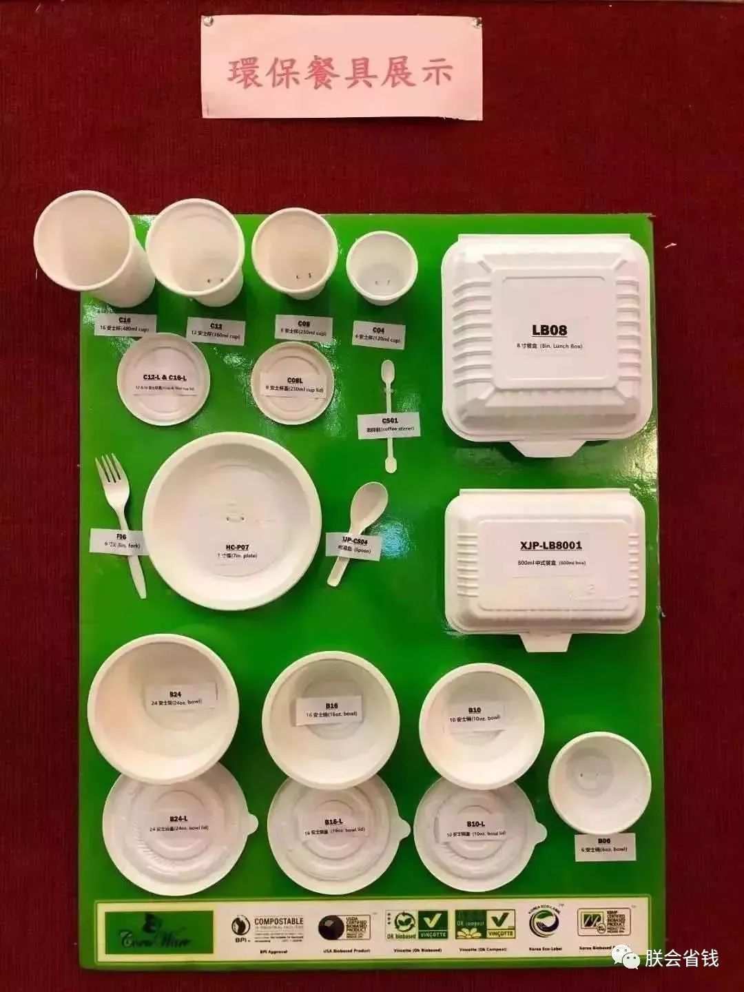 2019年澳门美食节大放送!100人民币吃遍全世界!吃播走起