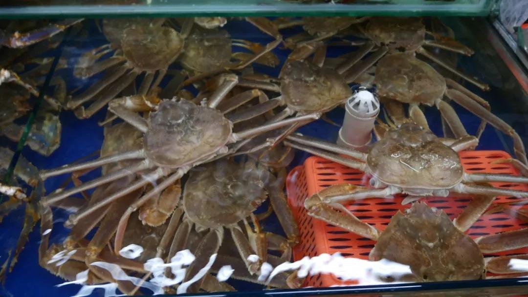 哎呀妈呀思密达，这座边境小城让我成功穿越