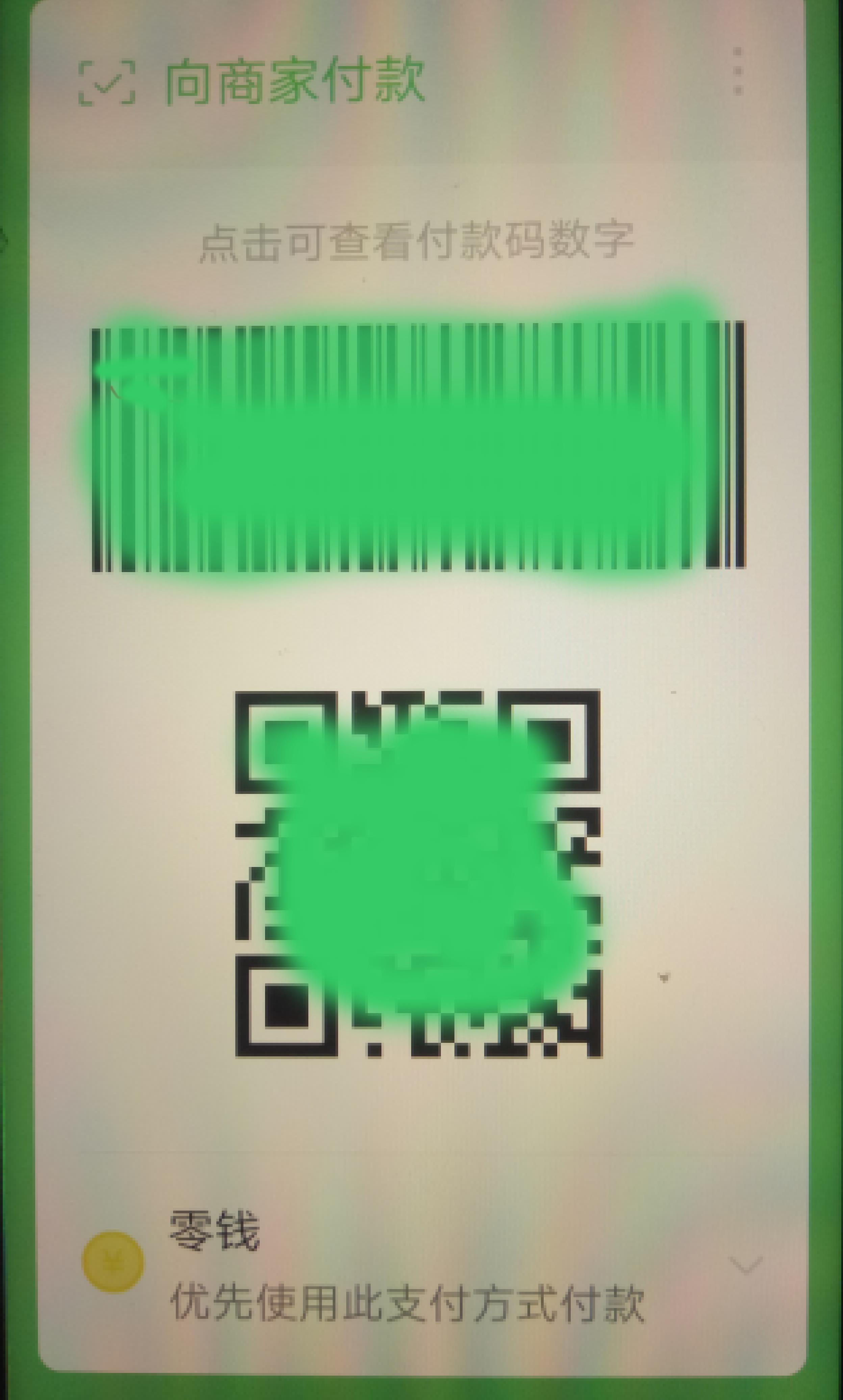 老年人学手机(048)扫码支付