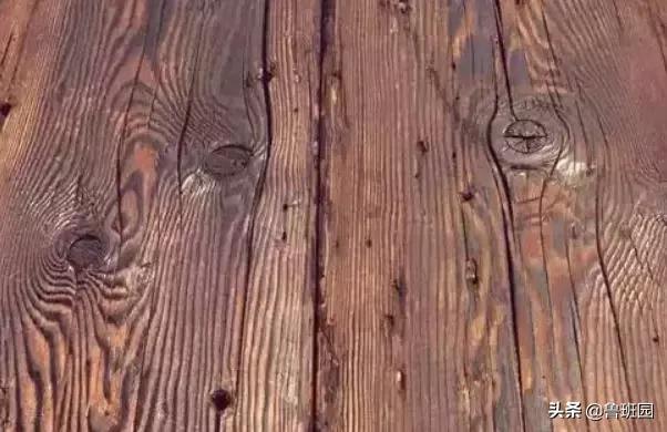 木材的主要缺陷,木材缺陷有哪些