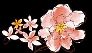 性别认知障碍女孩与自己和解,性别认知障碍母亲