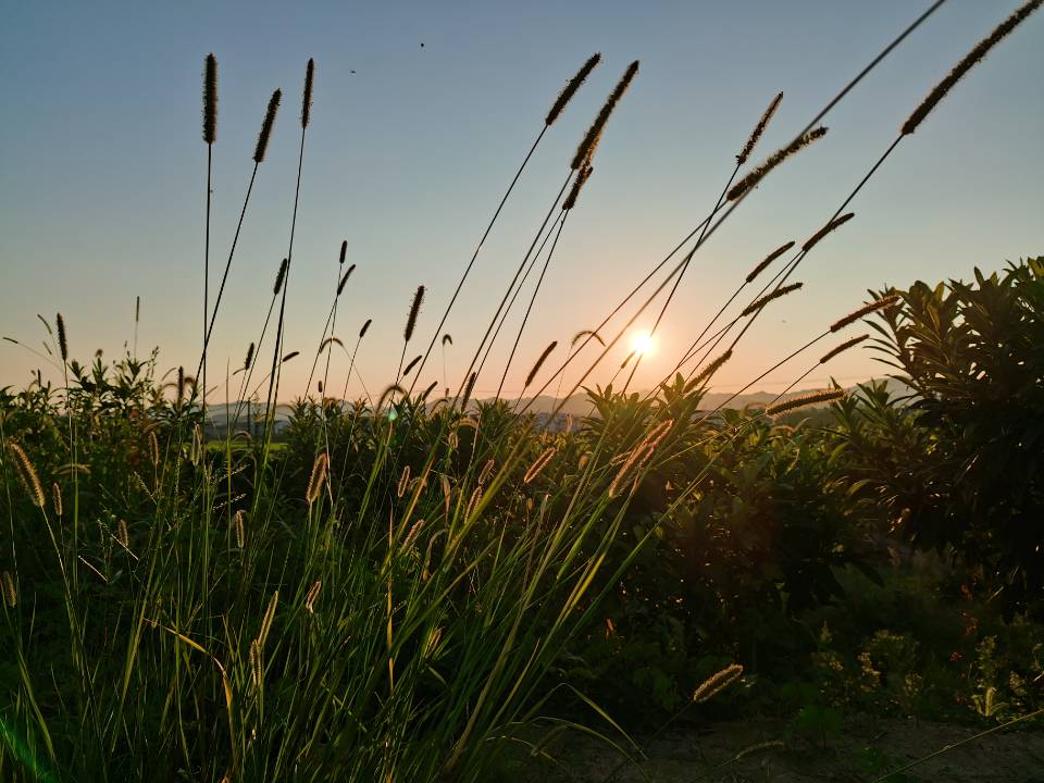 Day3文档的基础操作2(字体、段落的格式设置)
