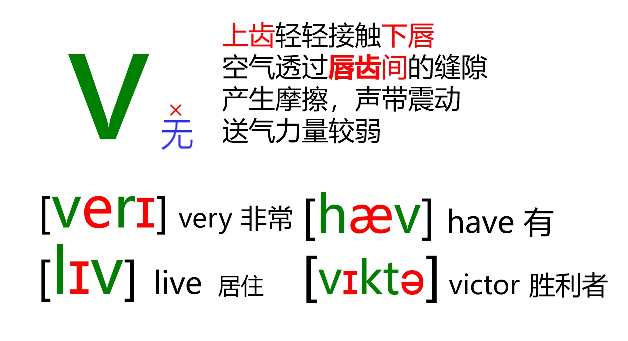 48个音标全套卡片作用,英语音标卡片48个正确发音嘴型
