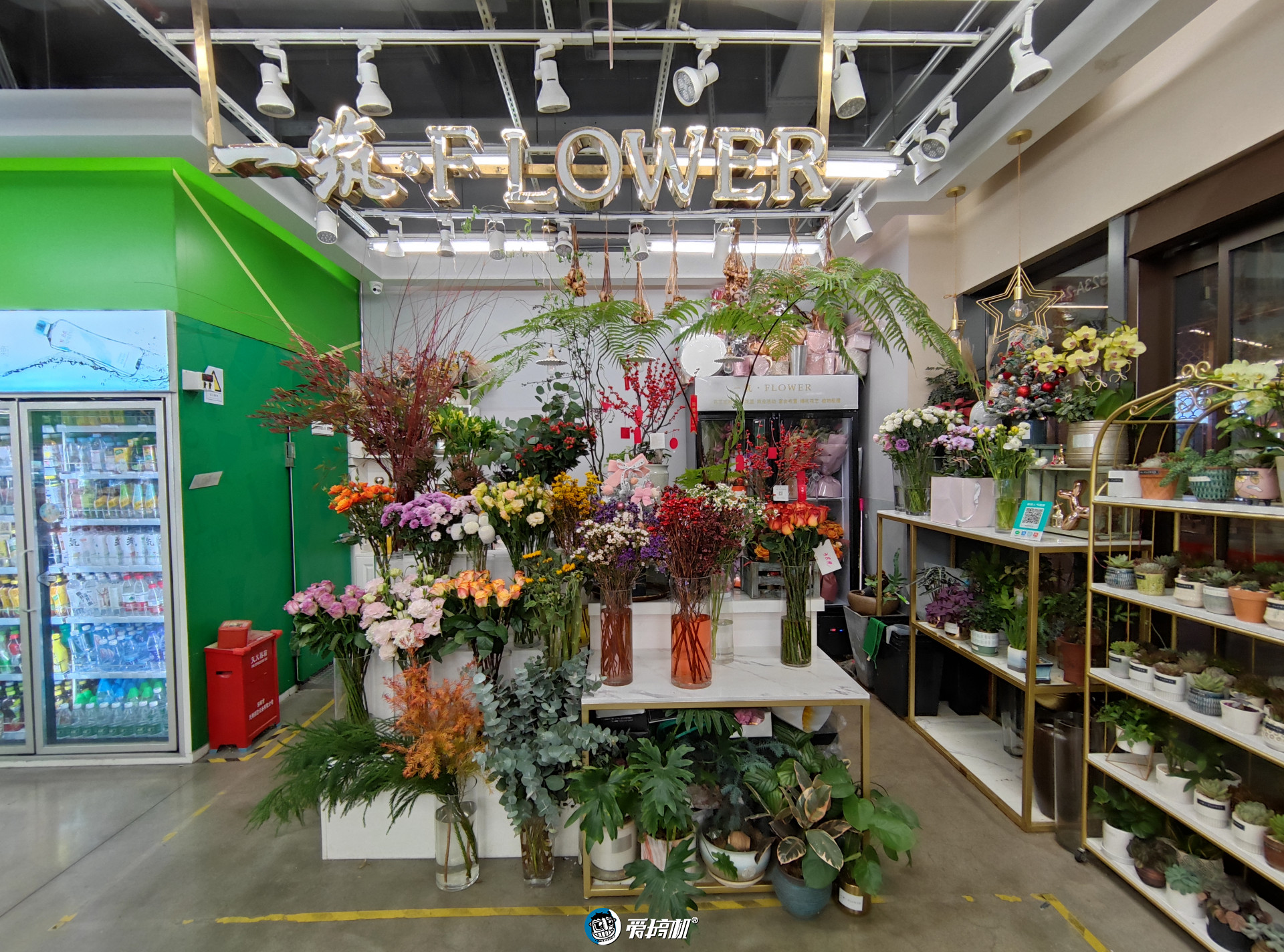 小米11全系列横评,小米11全系列测评