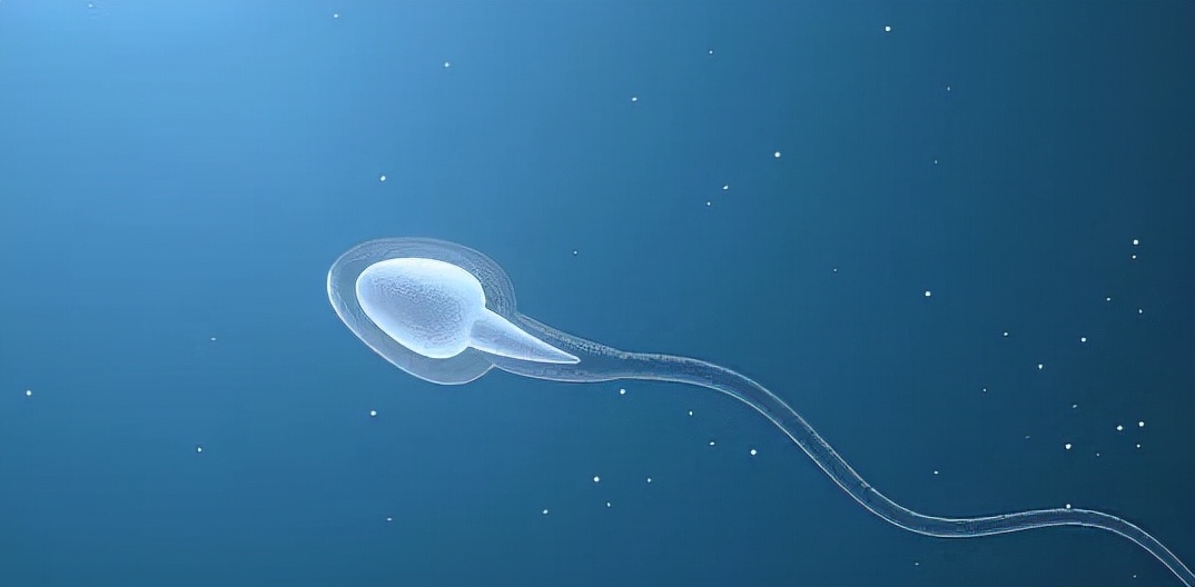 性病界的潜伏高手——梅毒