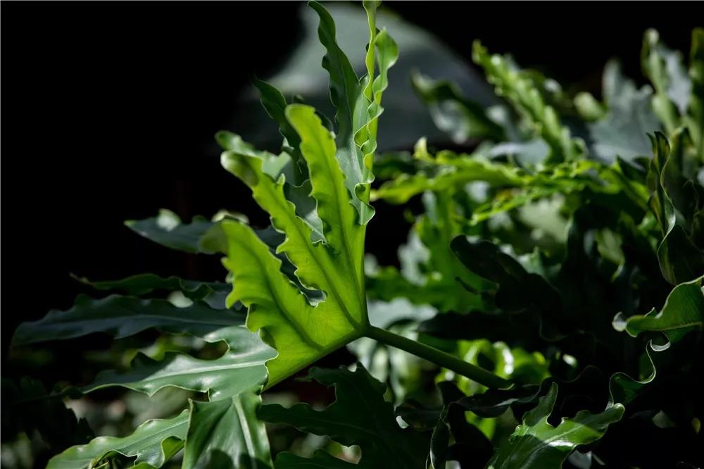 探秘!10000㎡打造世界烘焙商业新物种!!!(系列一)