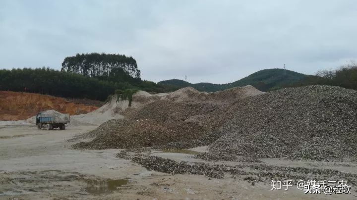 玛塔牡蛎钙对盐碱地的作用,玛塔牡蛎