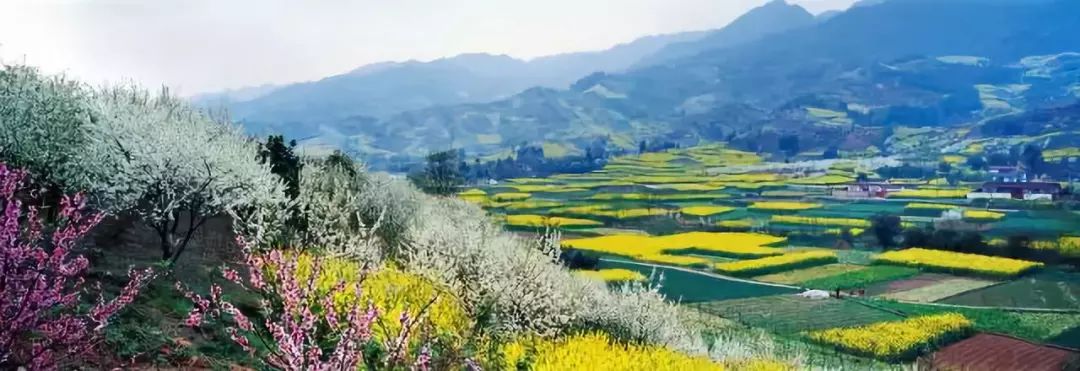 体育小镇之殇：某国资急售2家亏损公司，涉无锡、桐庐项目