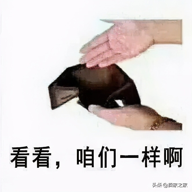 看完国外卖家分享的年收入，我又可以了