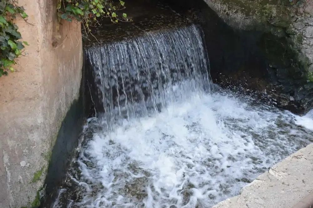 出门随处见绿，身边处处成景！看个旧如何实现“转型逆袭”→