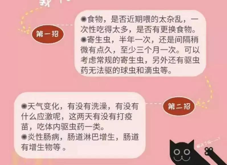 贫民窟女孩养猫好物合集,贫民窟养猫一个月花多少钱