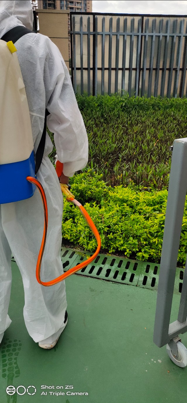 惠州上门灭白蚁公司推荐,惠州专业白蚁灭杀公司