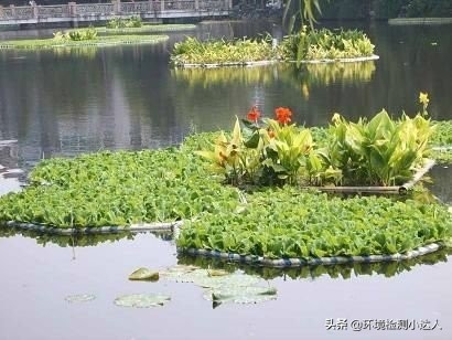 榛戣嚟姘翠綋鏀瑰杽鎺柦,榛戣嚟姘翠綋娌抽亾娌荤悊鏂规