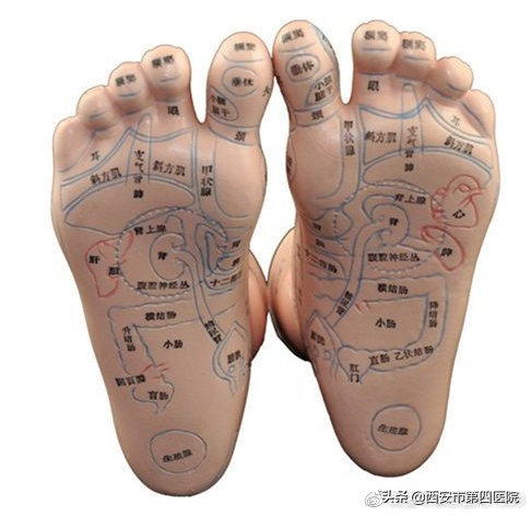 康复理疗师视频教程全集中文,足部康复训练6个动作