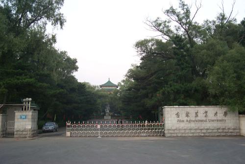 吉林省最好的5所大学，第一、第二无悬念，东北电力大学被挤出前5