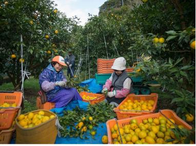 平滑肌肤好物推荐,拒绝秋冬干燥冬季护肤必备好物