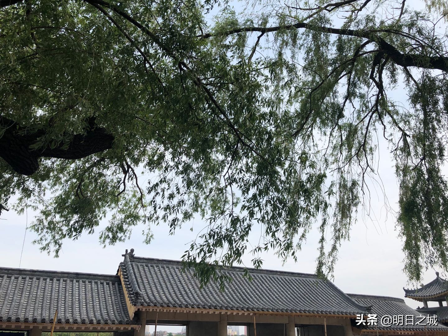 南湖游船游玩,南湖公园素颜图片