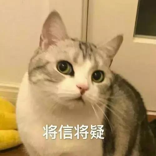 鼻子高还要画高光吗,大鼻头如何画高光