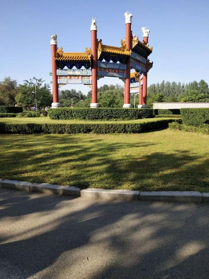 沈阳化工大学辽宁省排名,沈阳化工大学2020招生计划辽宁省