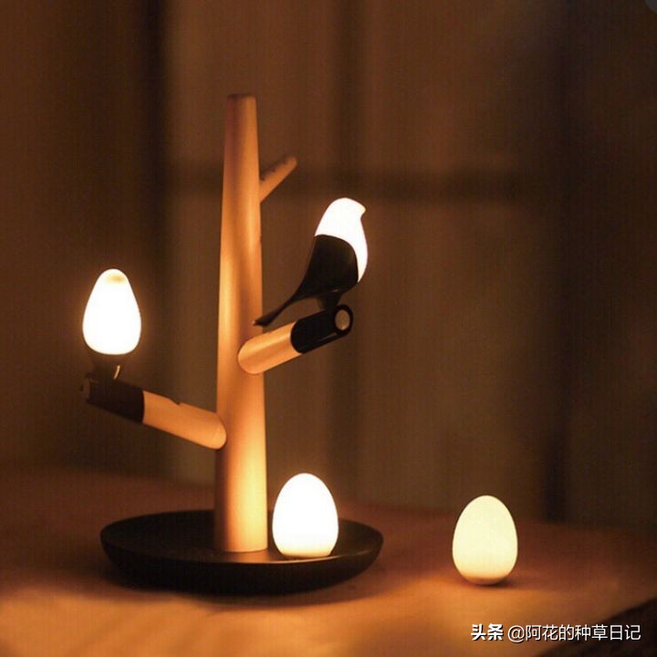 淘宝有什么高端的礼物店,淘宝上有什么好用的物品