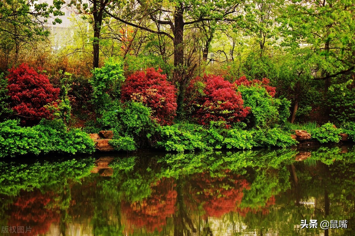 世说新语·咏雪译文,世说新语原文译文30篇