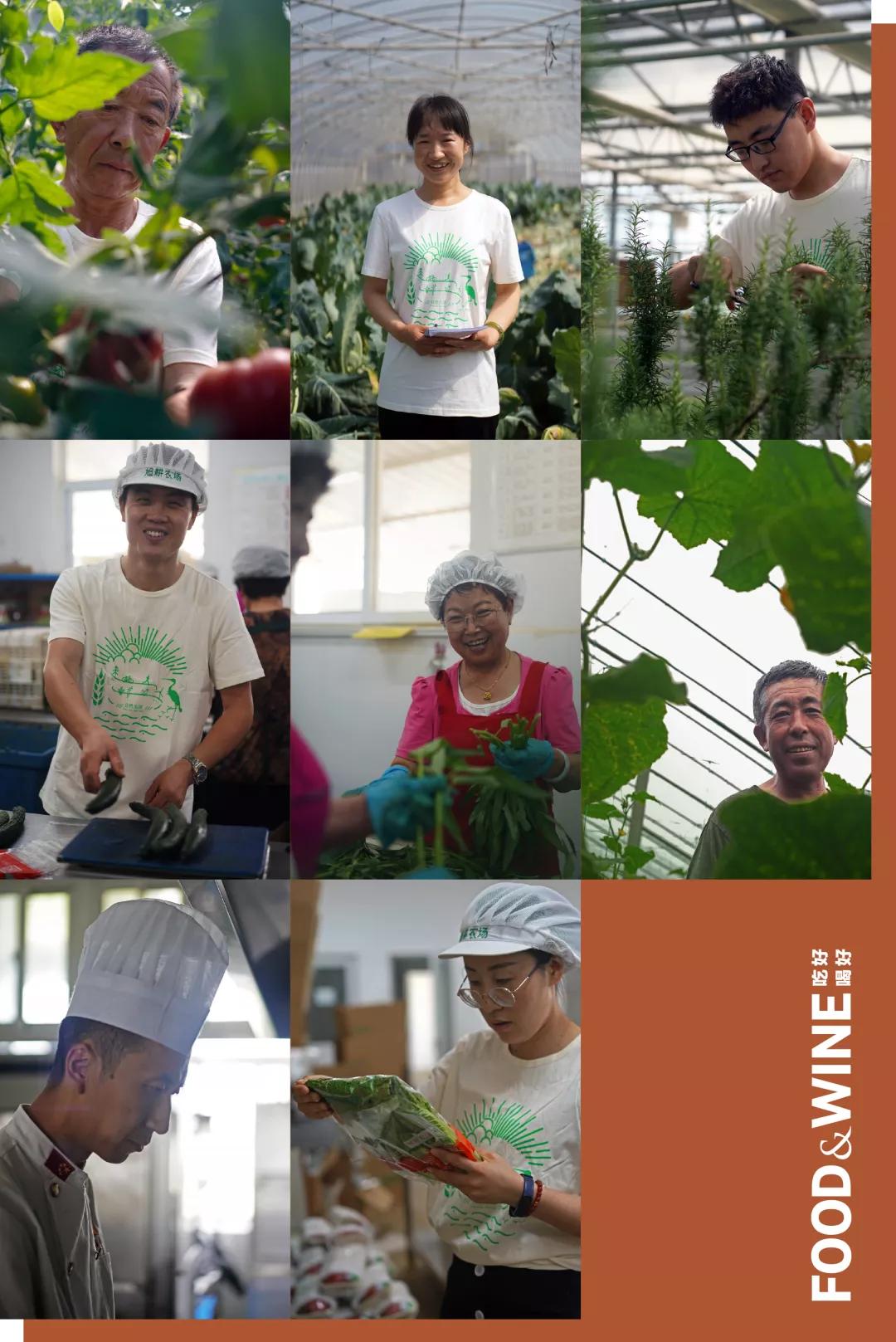 有机蔬菜需要了解哪一些,有机蔬菜基础知识