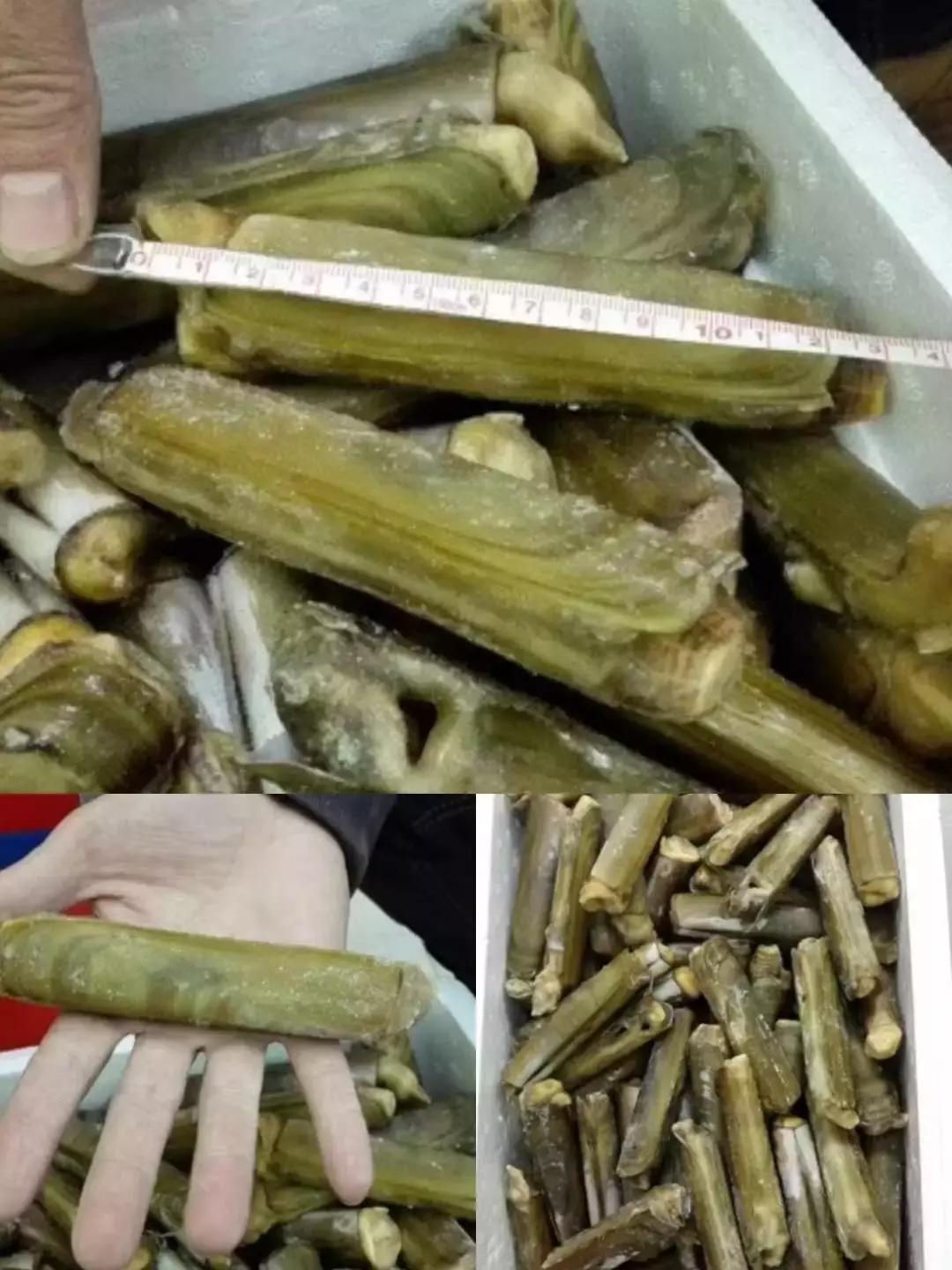 俄罗斯紫皮糖9块9包邮,俄罗斯紫皮糖哪家店便宜