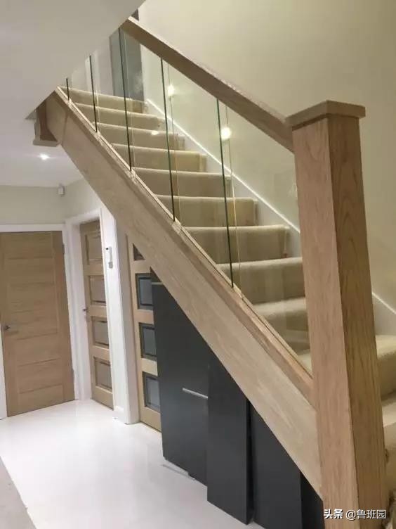 橡木种类大全及图片,史上最专业橡木介绍快来收藏吧