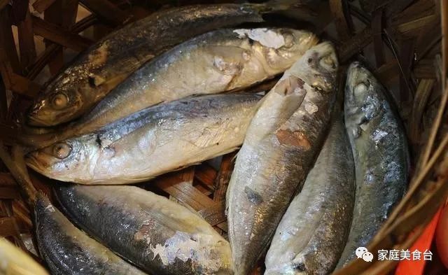 市场能买到的纯正海鱼有哪些,最便宜实惠的海鱼