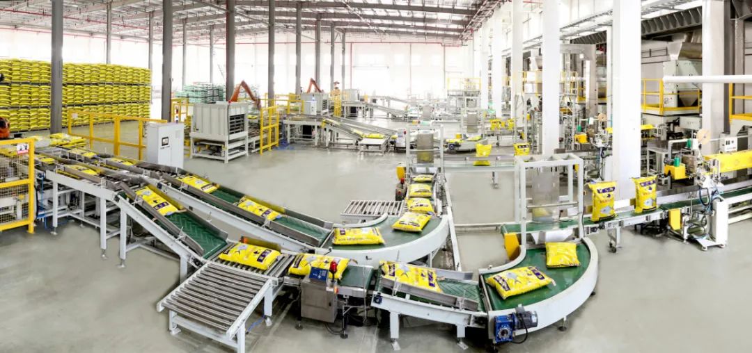 天马科技业务,天马科技领军者