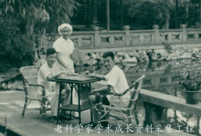 从中医小白到临床高手,从西医转而学习中医体会