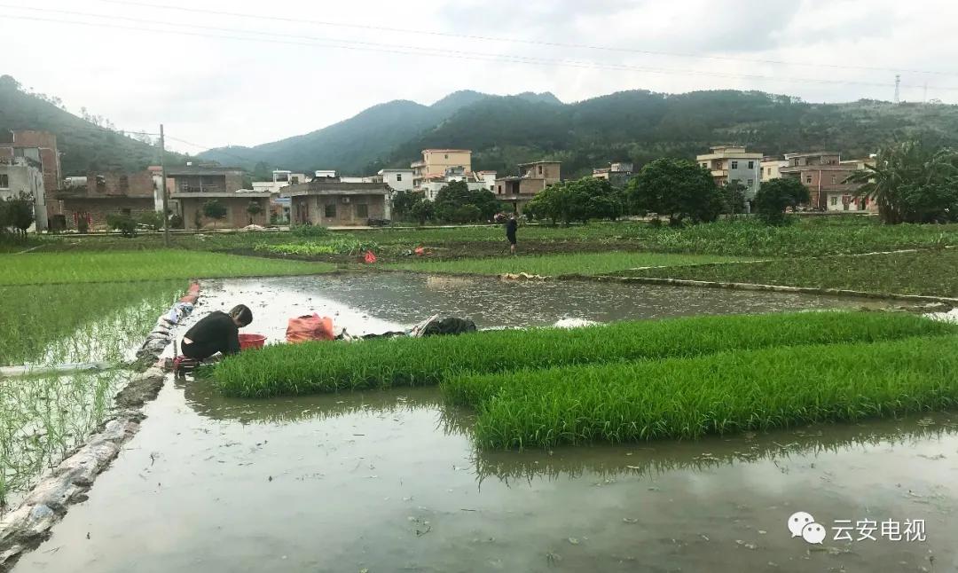 微耕机补助政策,农业补贴政策微耕机