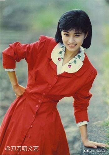 当年红极一时中国组合,红极一时的女子双人组合