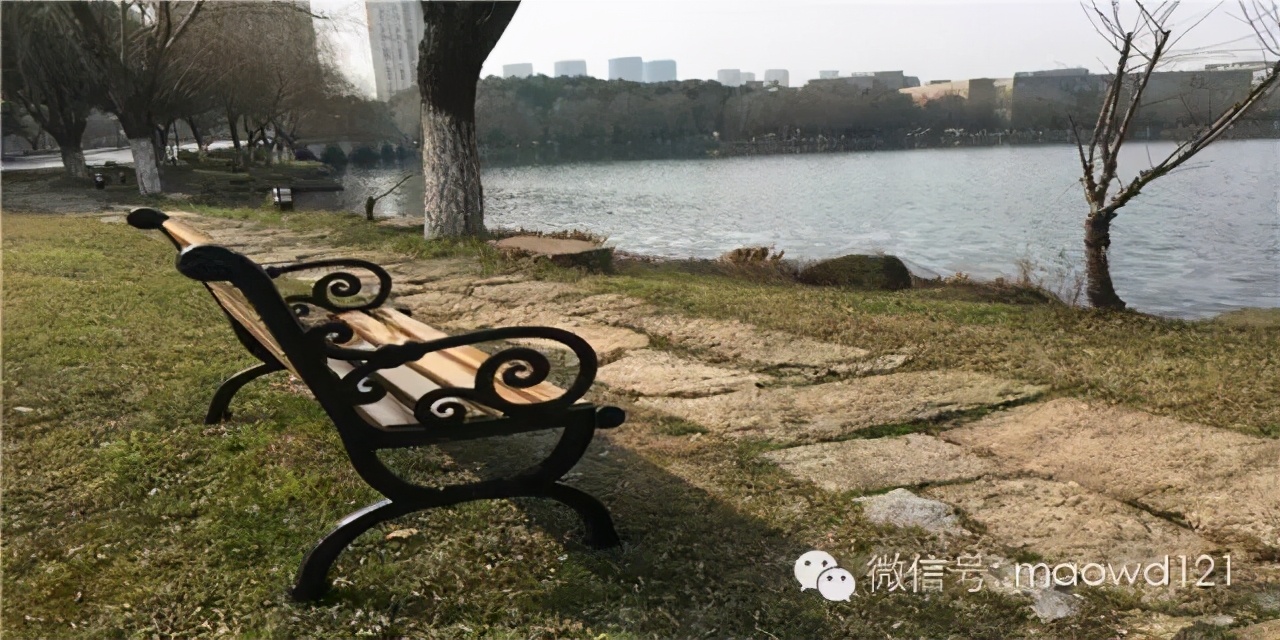 教育绝不能高高在上,不要听信所谓的教育专家的课