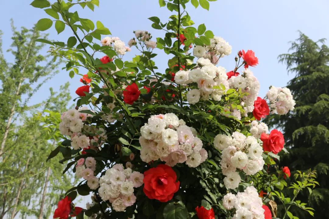 5.17遇见Ta在一起|这里有个不一样的脱单机会,速来~