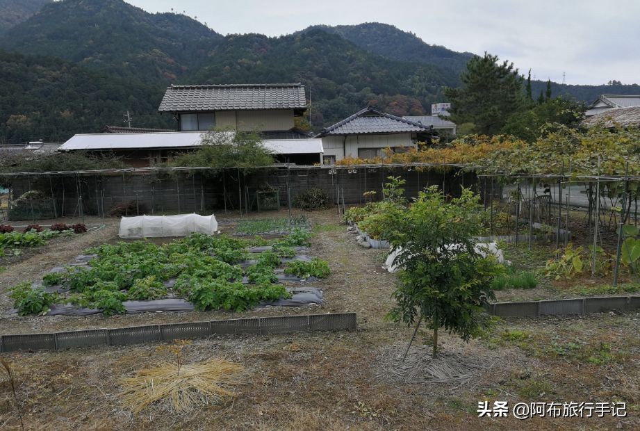 日本德岛好玩吗,日本农村真的好吗