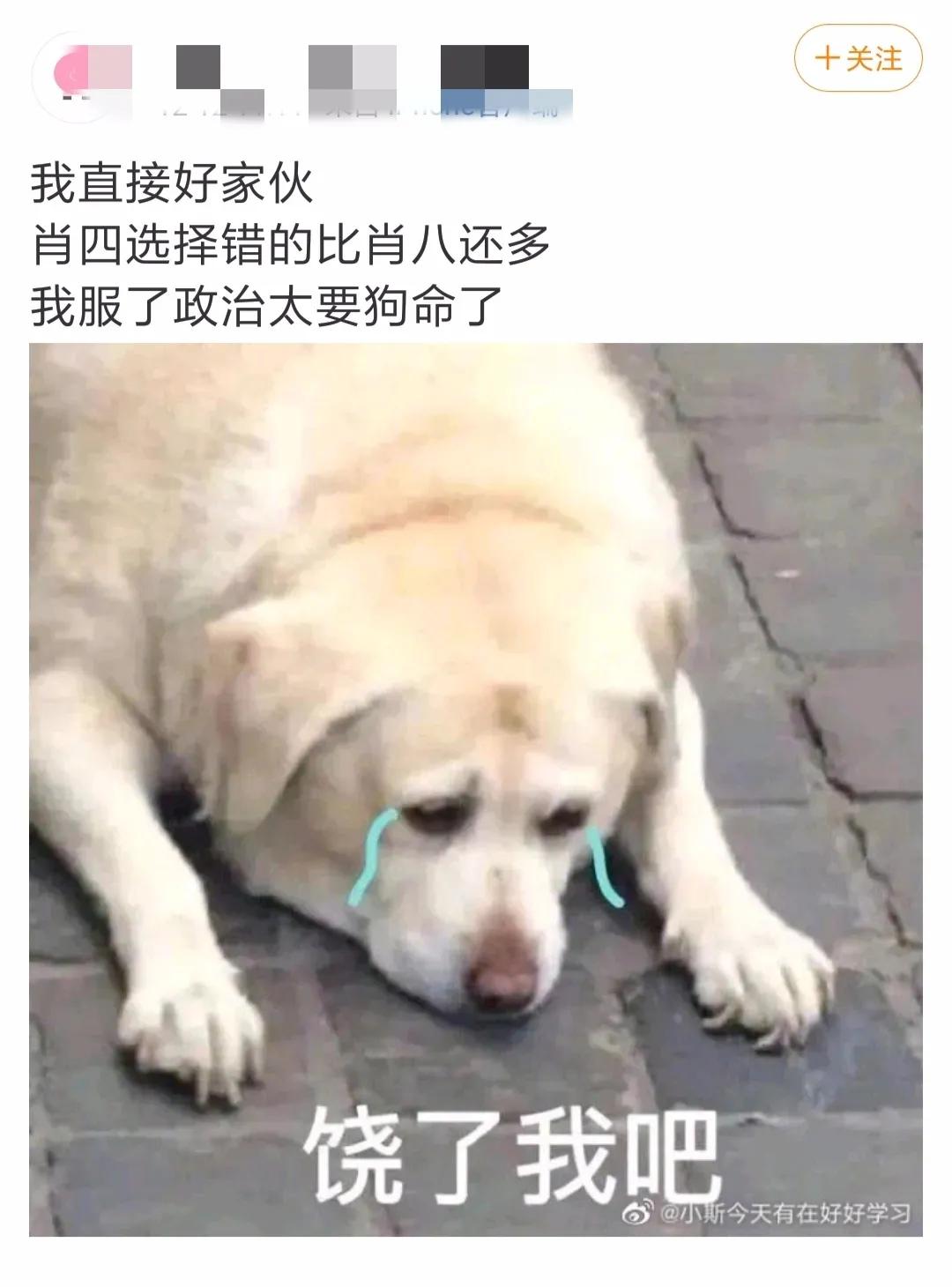 肖四肖八2024考研政治,政治肖四和肖八