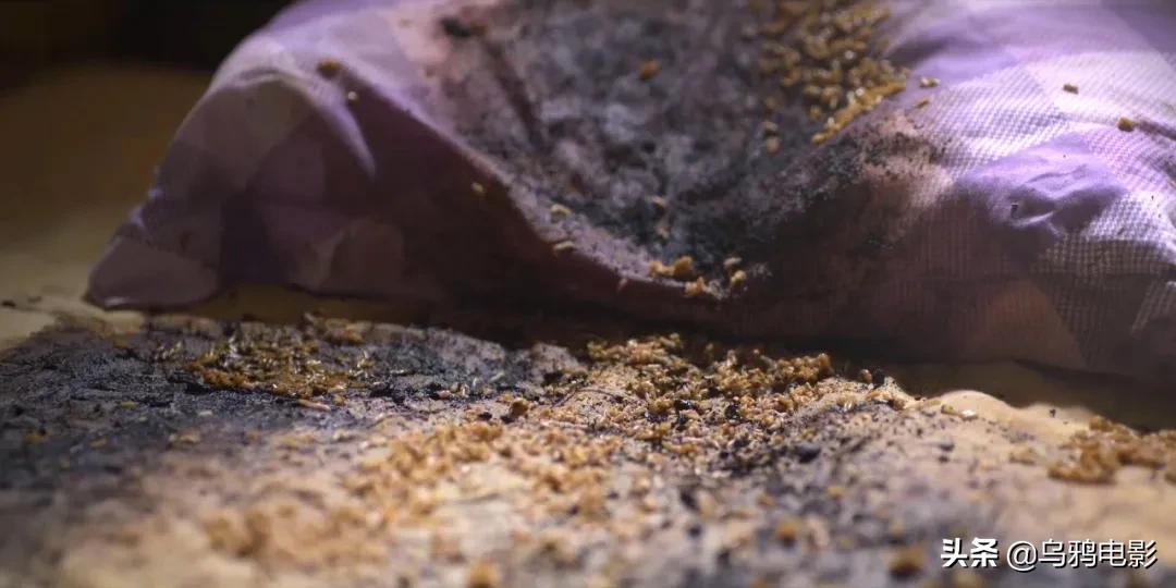 慎入高能现场完整版,慎入高能现场版