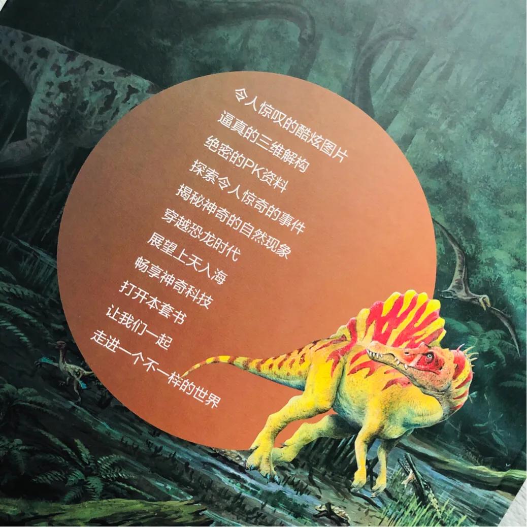 恐龙大比拼动画,恐龙大比拼视频