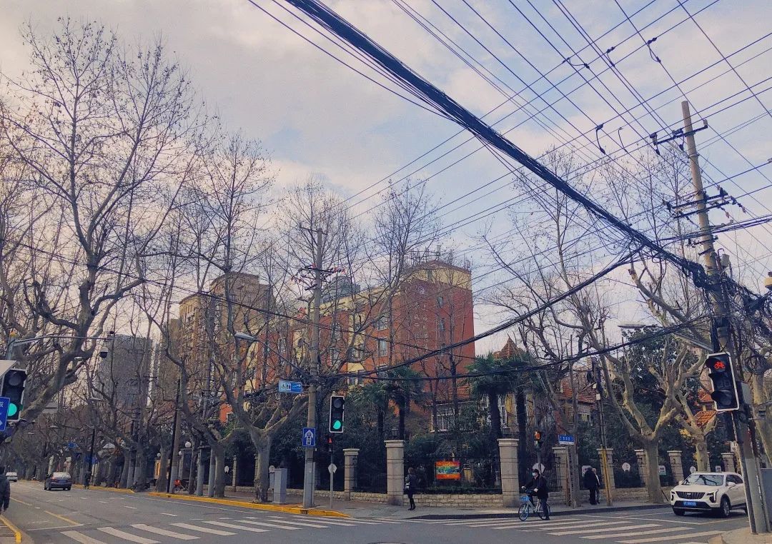 草莓自由行攻略,草莓园一日游必去的地方