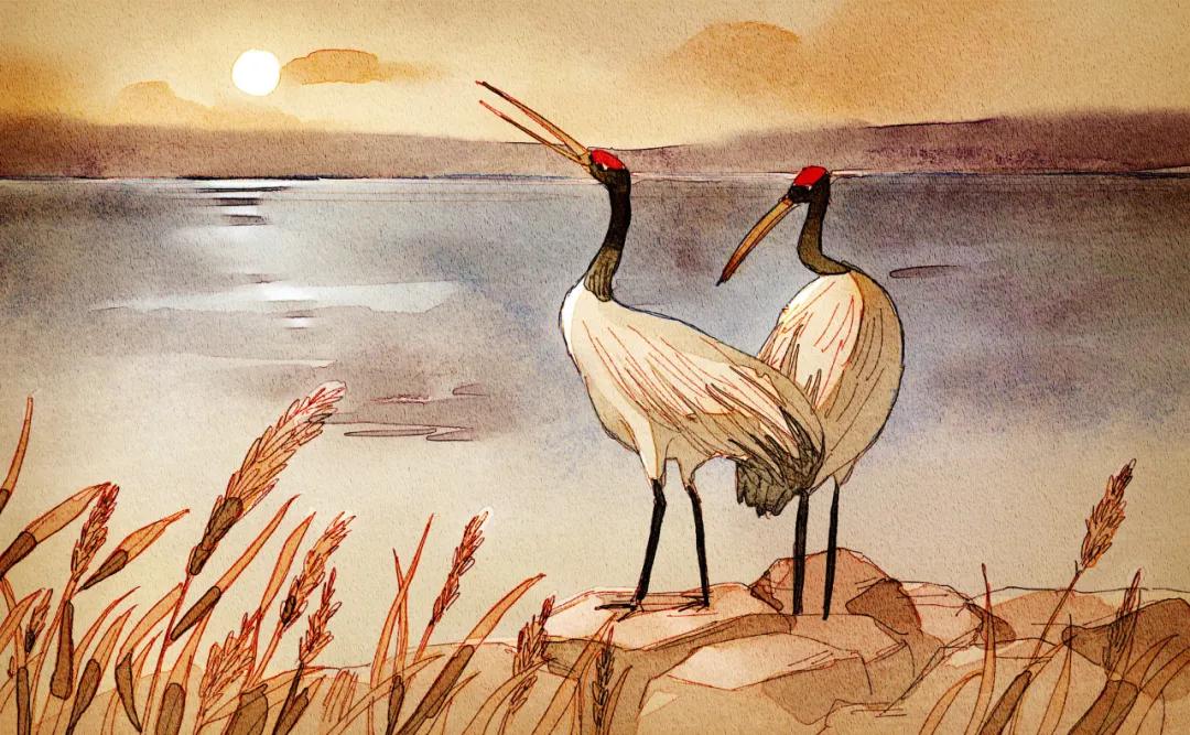 消失于朋友圈的中年男人,中年男人为什么越来越沉默了