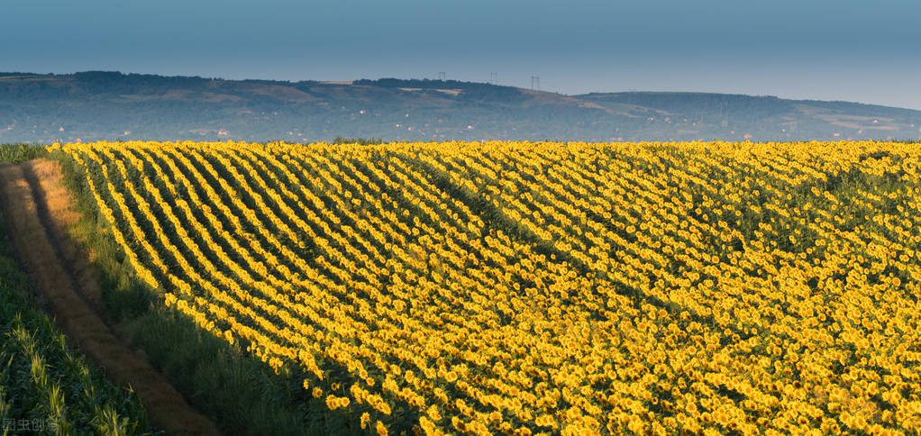 黑龙江省赚钱好项目大全,黑龙江创业项目商机招商