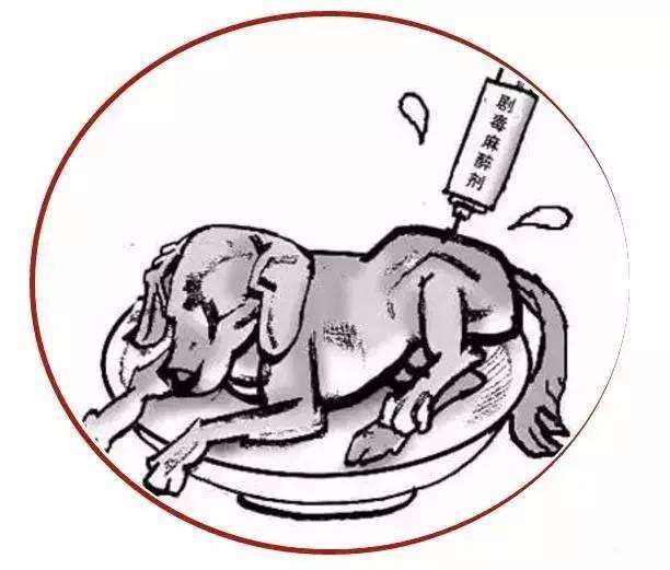 毒针杀狗案件,如皋毒狗判刑案