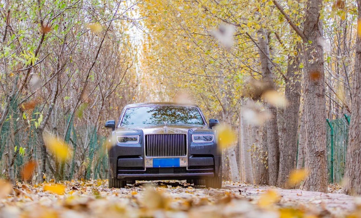 感受极致优雅的车,感受顶级豪车的魅力