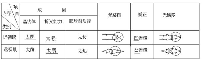 2020年中考总复习：光现象、透镜及其应用知识点总结