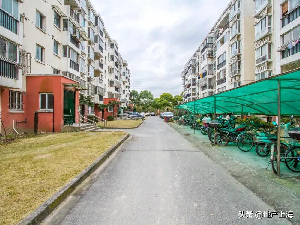 浦江成交价上涨40元是真的吗,浦江成交价多少