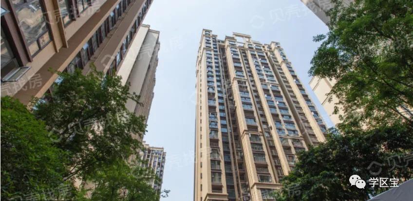 成都泡桐树小学哪个校区最好,泡桐树小学和成都实验小学